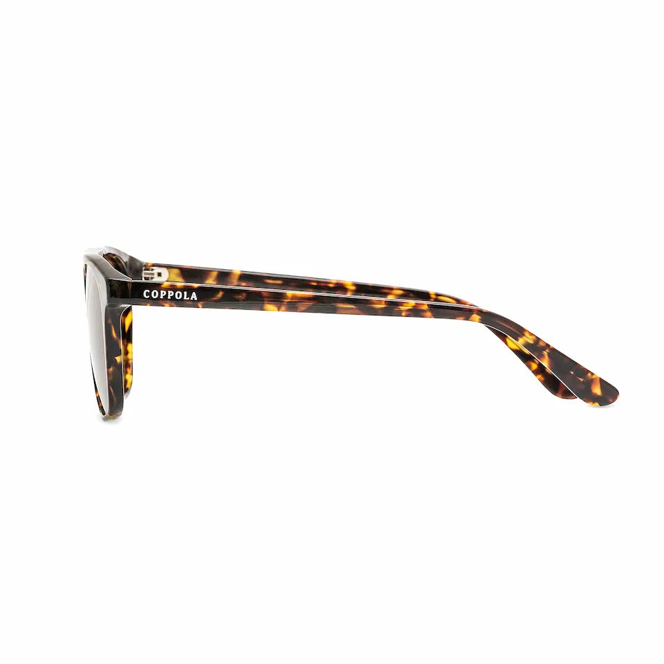Coppola Terra — Gafas de Sol Hombre · Edición Limitada